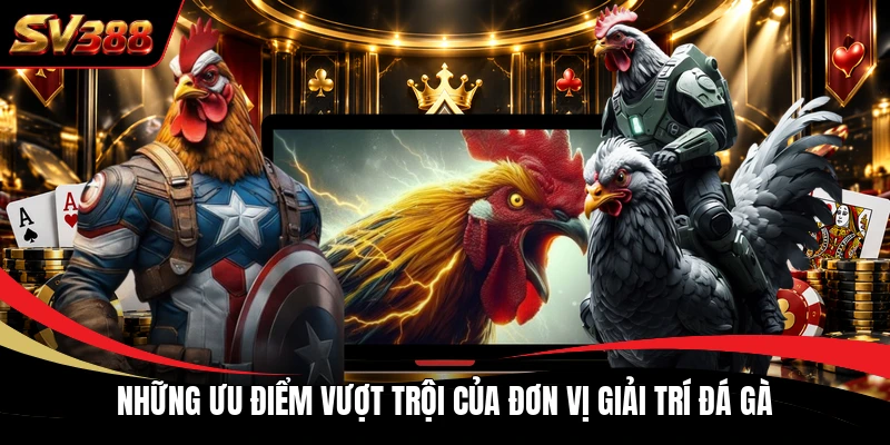 nhung uu diem vuot troi cua don vi giai tri da ga Những ưu điểm vượt trội của đơn vị giải trí đá gà